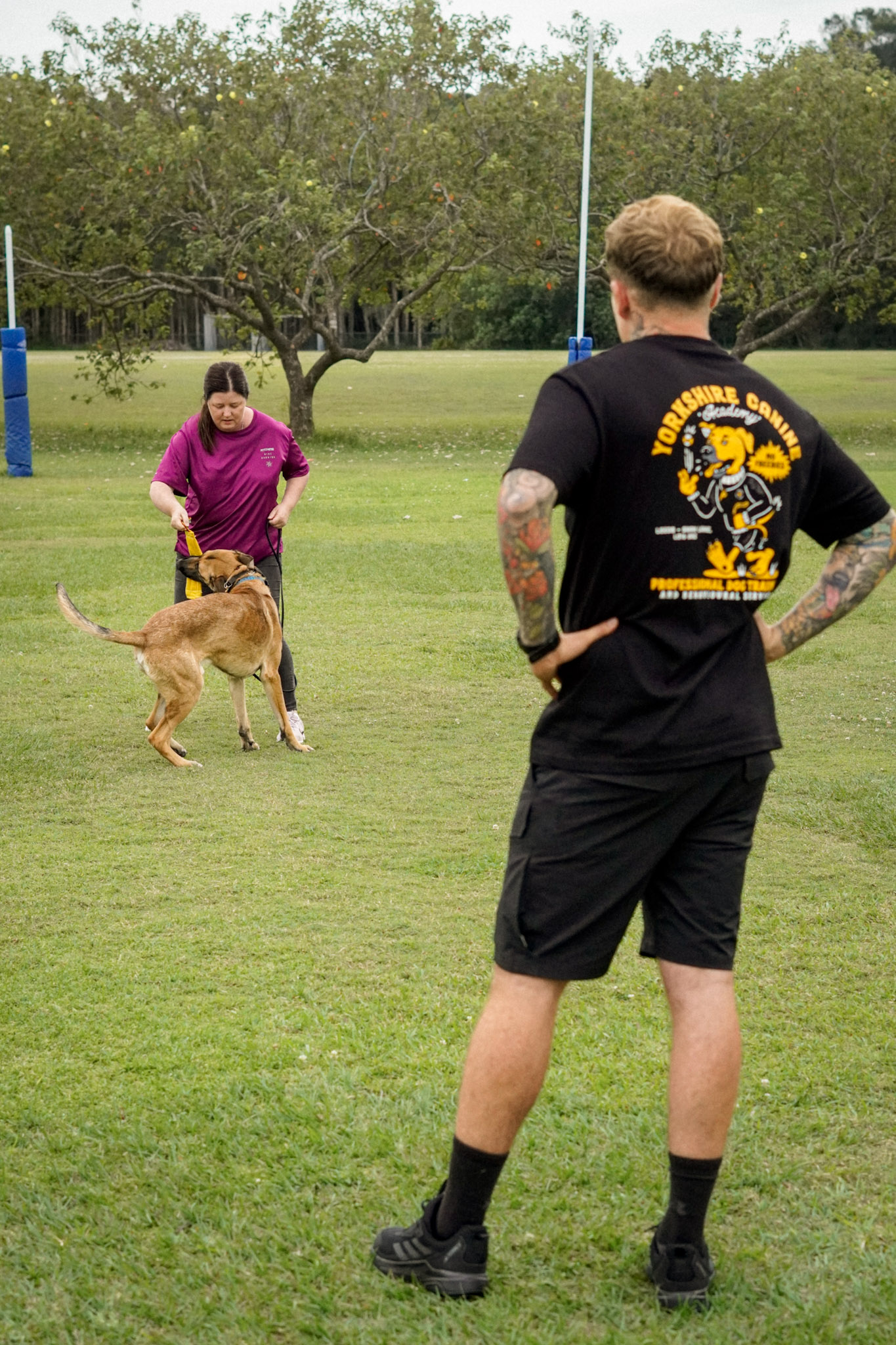 Dog training challenge